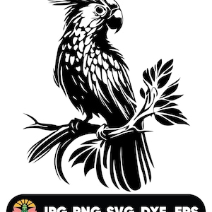 Adorable Parrot svg, Bird Portrait svg, Pet svg, Parrot SVG Bundle, Parrot svg, Parrot Clipart, Parrot silhouette, Parrot cut file