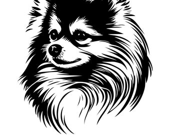 Pomeranian Face, Pomeranian Dog SVG, Dog Svg, Silhouettes Dog Face SVG, Pomeranian Silhouette SVG Cut table Design, svg, dxf, png