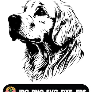 Golden Retriever Head Svg, Peeking Golden Retriever Clipart, Peeking Golden Retriever Svg Files For Cricut, Svg,Png,Dxf,Eps