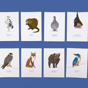 Postkarten "Tiere aus dem Tal" / schlichte Illustration, Grußkarte, Sammelkarte, Dekoration zum Rahmen aus Wuppertal mit der Schwebebahn