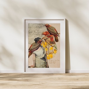 SOPHORA - Poster illustration Collage