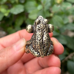 May include: A detailed bronze frog figurine with textured skin and large, round eyes. The frog is in a sitting position, showcasing its intricate design. The background is blurred, with green foliage.