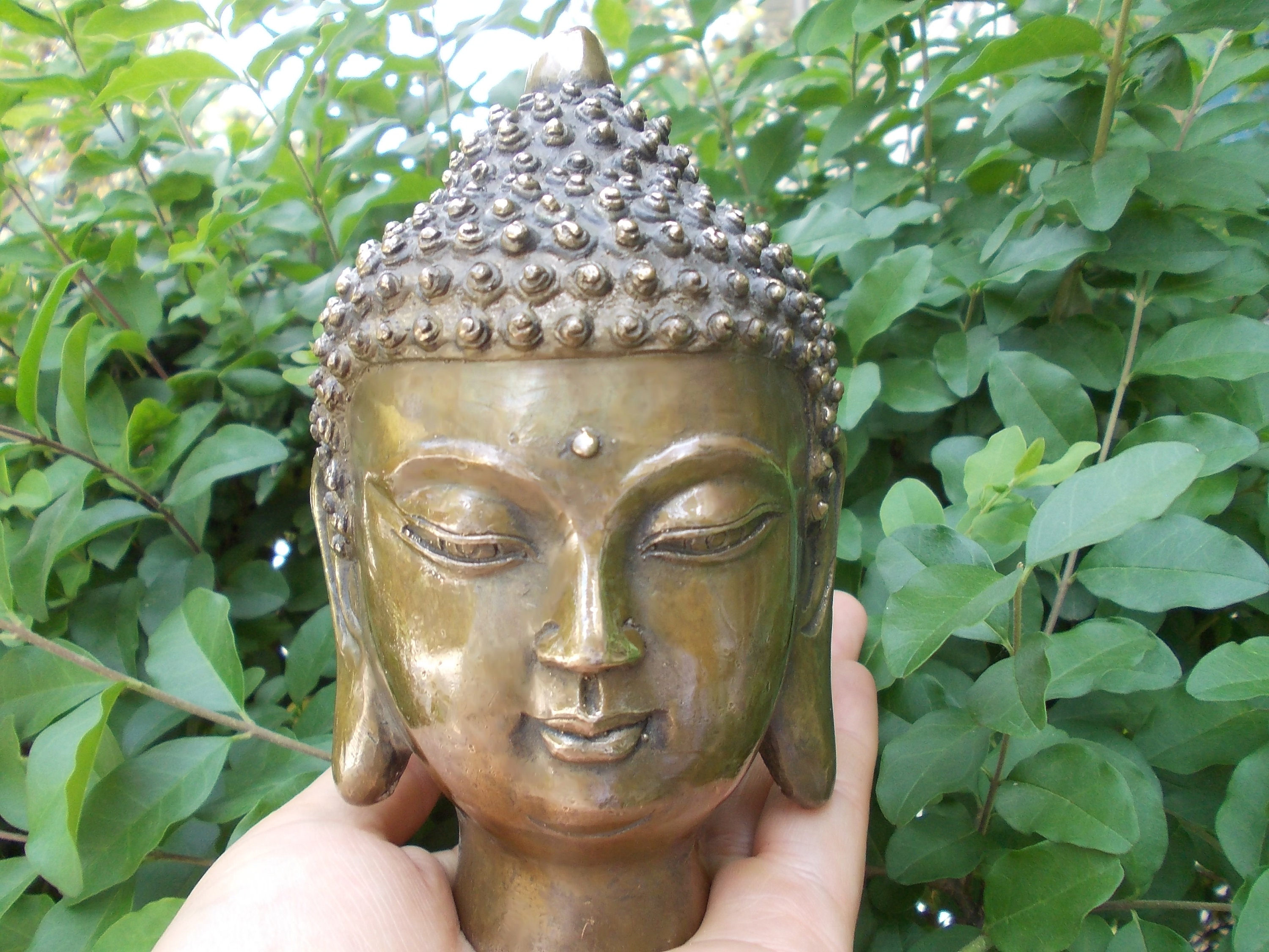 Buddha head - Etsy 日本