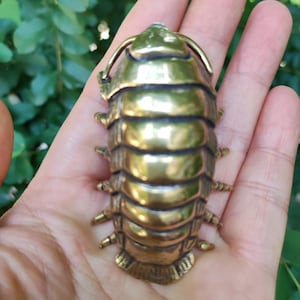 Puede incluir: Una detallada escultura de latón de una cochinilla, con placas corporales segmentadas y pequeñas patas. La escultura tiene un acabado dorado pulido y se sostiene en una mano sobre un fondo de follaje verde. Se ven las antenas del insecto.