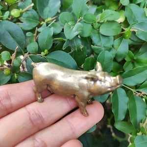 May include: A small, detailed brass pig figurine. The pig is standing with its legs firmly planted, and its tail is curled. The figurine is set against a backdrop of green leaves, suggesting an outdoor setting. The pig is approximately 2 inches long.