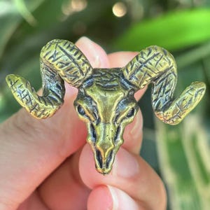 Può includere: Una scultura dettagliata di teschio di ariete in ottone con corna ricurve. La scultura ha una finitura antica e usurata ed è tenuta in mano su uno sfondo verde sfocato. Il teschio di ariete è una rappresentazione dettagliata.