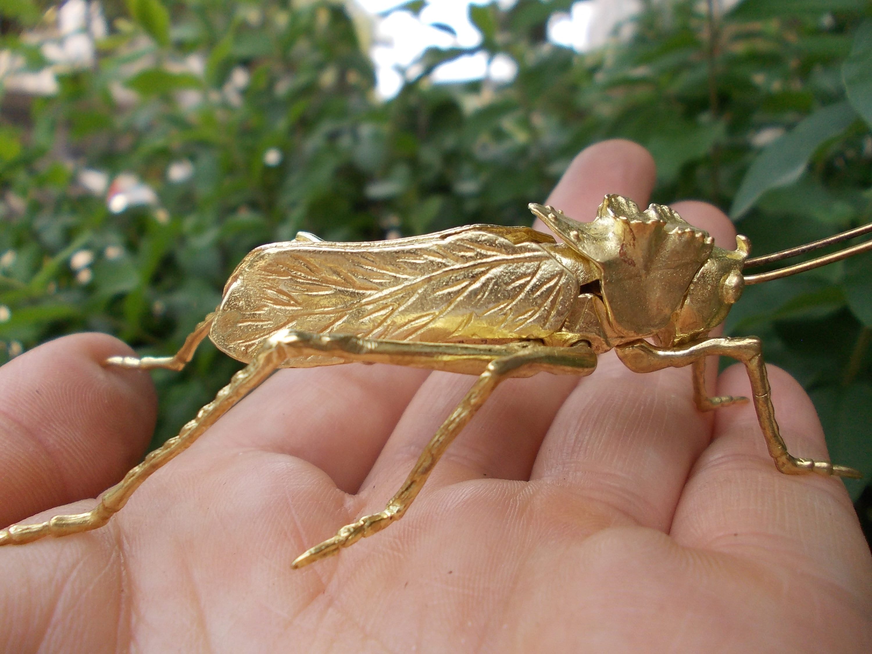 Jouet sauterelle Canada