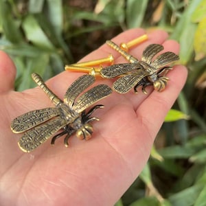 May include: Two bronze dragonfly cabinet pulls with intricate wing details and matching gold screws. The dragonfly hardware is a decorative accent for drawers, cabinets, or furniture. The dragonfly pulls are approximately 3 inches long.
