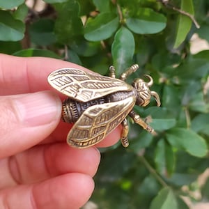 May include: A detailed brass bee figurine with textured wings and body. The bee has six legs and two antennae. The figurine is a golden colour and is held against a background of green leaves.