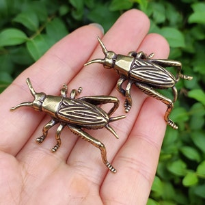 May include: Two detailed brass cricket figurines with intricate wing and leg details. The insects are posed on a hand, showcasing their realistic design and antique finish. The crickets are a decorative item.