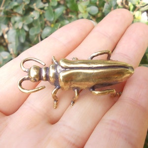 Get 2 Vtgbrasslover Vtg Vintage style brass lucky insect Statue centipede Fortune insect figure tea pet paperweight toy gift Collectible Art