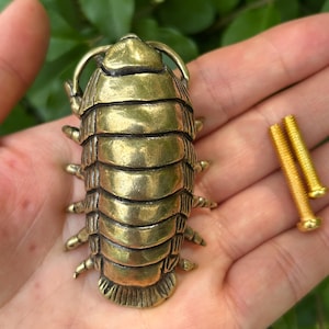 Puede incluir: Una detallada escultura de latón de una cochinilla, con placas corporales segmentadas, antenas y patas. También se ven dos tornillos de latón. La escultura tiene un aspecto vintage y antiguo.