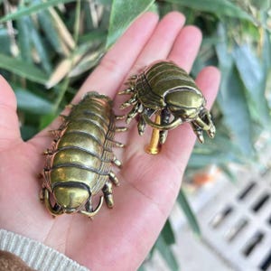 Peut inclure: Deux sculptures d'insectes en métal couleur laiton. L'une est un cloporte détaillé, l'autre est un cloporte avec une tige attachée. Les sculptures sont tenues dans une main, mettant en valeur leur design complexe et leur éclat métallique.