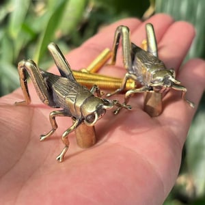 May include: Two brass cricket figurines with detailed wings and legs. The insects are posed on small brass cylinders. The background includes additional brass elements and a blurred green backdrop.