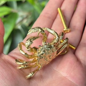 Könnte beinhalten: Ein goldfarbener schalenförmiger Schrankgriff mit zwei passenden Schrauben. Die Krabbe hat detaillierte Klauen, Beine und eine strukturierte Schale. Die Hardware ist für Möbel und dekorative Zwecke konzipiert.