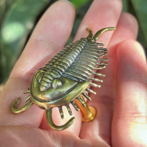 Könnte beinhalten: Bronze-farbene Trilobiten-Skulptur mit detaillierten, segmentierten Körpermerkmalen. Die Skulptur hat gebogene Antennen und einen kleinen, abgerundeten Sockel. Das Design erinnert an alte Fossilien mit einem antiken Finish.