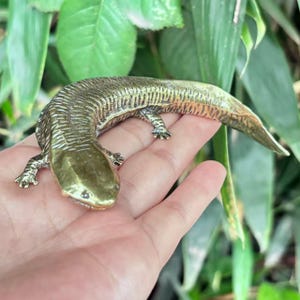 May include: A brass salamander figurine with a detailed textured body and small legs. The salamander is a golden-brown colour and is resting on a hand. The figurine is a decorative item.