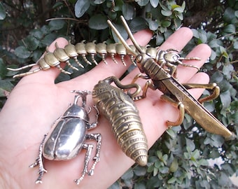 Get 4Vtgbrasslover Vtg Vintage style brass Centipede Uang locust Cicadate pupa Statues centipede Fortune insect figure paperweight toys gift