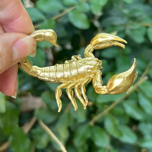 Könnte beinhalten: Goldfarbene Skorpionfigur mit detaillierter Textur. Der Skorpion wird vor einem Hintergrund aus grünem Laub gehalten. Die Scheren und der Stachel des Skorpions sind deutlich sichtbar.