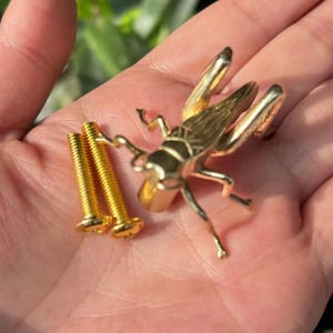 Könnte beinhalten: Eine goldfarbene Metall-Heuschreckenfigur mit zwei passenden Schrauben. Die Heuschrecke hat detaillierte Flügel und Beine. Die Schrauben haben einen Schlitzkopf. Die Artikel werden in der Hand einer Person präsentiert.