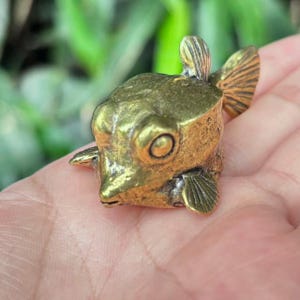 Peut inclure: Une figurine de poisson en laiton détaillée, avec des yeux proéminents, des nageoires et une surface texturée. La sculpture a une teinte dorée et est tenue dans une main sur un fond vert flou. L'objet est décoratif.