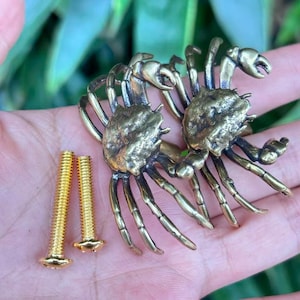 May include: Two brass crab figurines with detailed claws and legs, alongside two gold-colored screws. The crabs are positioned near each other, showcasing their intricate design. The items are displayed against a blurred background.