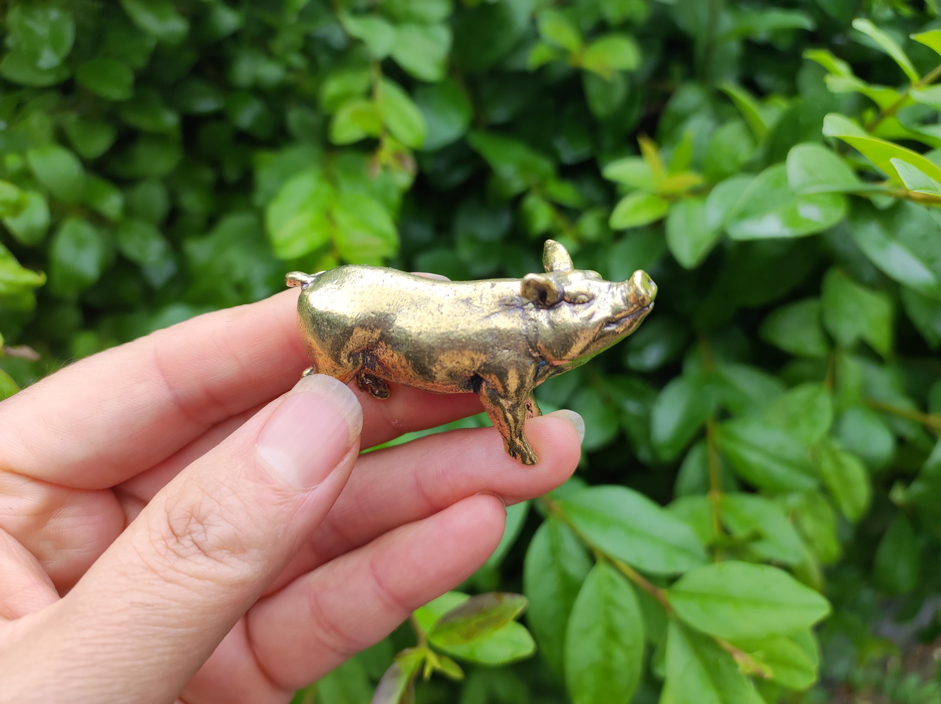 Antique Pig - Etsy Canada