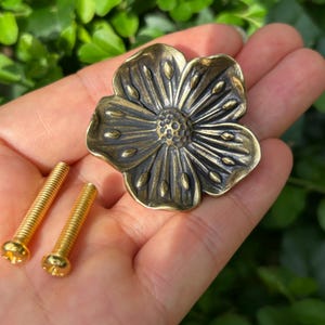 May include: A brass-toned metal cabinet knob shaped like a five-petaled flower with a textured center, accompanied by two gold-colored metal screws with threaded shafts and flat heads, designed for furniture hardware installation.