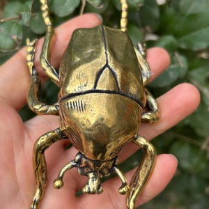 May include: A detailed brass beetle sculpture with intricate leg and body detailing. The beetle is a warm gold colour, and the sculpture is held in a hand against a backdrop of green foliage.