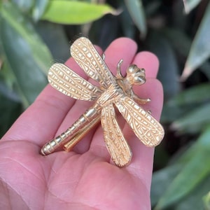 May include: A gold-colored dragonfly brooch with intricate wing detailing. The dragonfly's body is textured, and the wings have a patterned design. The brooch is a decorative accessory.