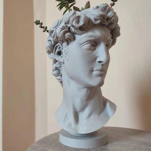 Può includere: Un busto in gesso bianco di un uomo con un'acconciatura scolpita, utilizzato come vaso. Il busto contiene piccole piante grasse verdi.