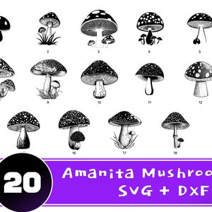 Amanita mushroom SVG bundle - 20 unique design - Mushroom DXF bundle - Instant download - Magic Mushroom svg - Mushroom cricut files