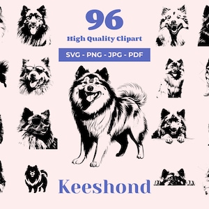 Paquete SVG de Keeshond: 96 archivos de corte, arte de compañía esponjosa, sublimación y PNG transparente, imágenes prediseñadas de perro amigable
