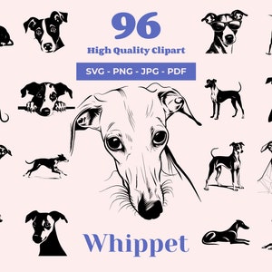 Bundle Whippet SVG - 96 fichiers coupés - art élégant chien de course - sublimation et PNG transparent - clipart chien gracieux