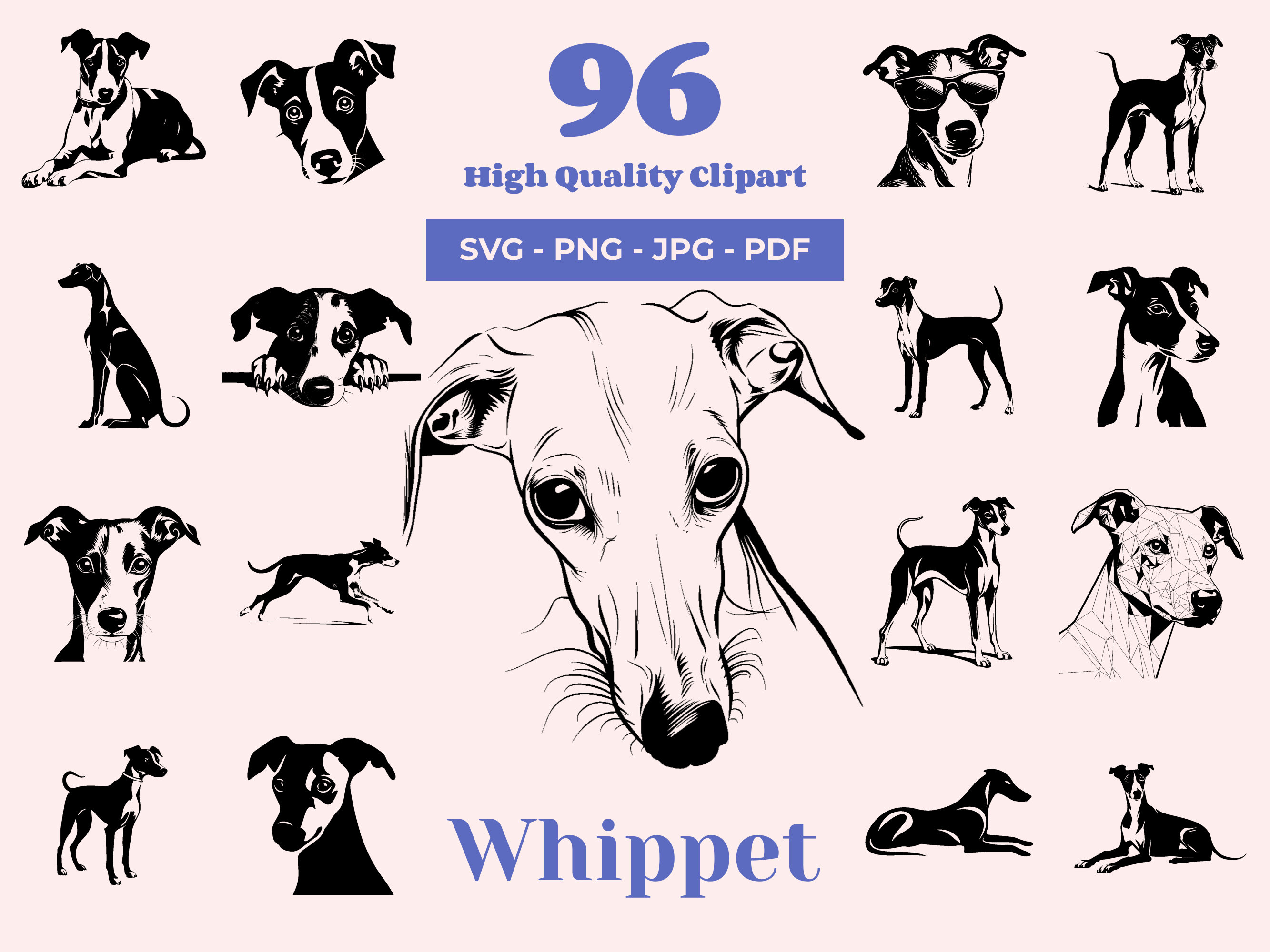 Bundle Whippet SVG - 96 fichiers coupés - art élégant chien de course - sublimation et PNG transparent - clipart chien gracieux