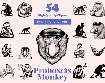 Proboscis Monkey SVG Bundle: 54 Unique Designs (Digital Download)
