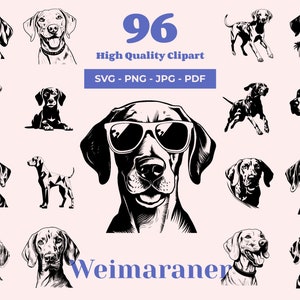 Weimaraner SVG-Bundle - 96 Schnittdateien - Athletische Jagdhund Kunst - Sublimation und transparente PNG - Elegante Canine Clipart - Laser Dateien