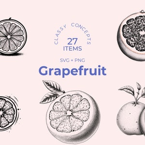 Grapefruit SVG - 27 Black and White Cut Files - Fruit SVG Designs - Citrus png