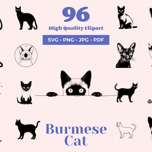 Katze SVG Bundle - 96 Designs - Birma Clipart - Asiatische Rasse - Soziale Katze - Sublimation und Cricut bereit - Laser Dateien