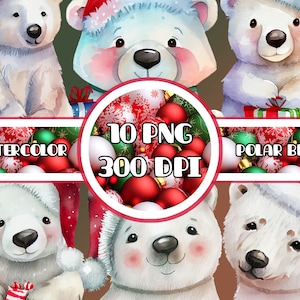 Watercolor polar bear clipart pack - 10 unique PNG - Baby polar bear art - White bear in Santa hat - Bear clip art - Christmas Polar Bear