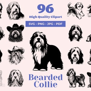 Bearded Collie SVG Bundle - 96 Schnitt Dateien - Hund Clipart - Haustier Porträt - Bearded Collie Kunst - Laser Schnitt bereit - Cricut Silhouette Designs
