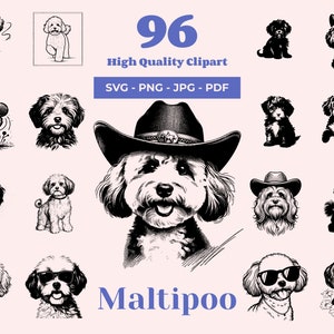 Paquete SVG de Maltipoo: 96 diseños, imágenes prediseñadas de Maltipoo, razas de perros de diseño, archivos láser, manualidades para hacer uno mismo, SVG de perro peludo, arte de perro de juguete, Cricut