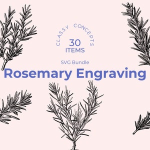 Pacchetto SVG Rosemary - 30 incisioni vintage - File di taglio - Herbal Resonance, Dark Academia