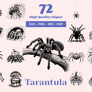 Puede incluir: Un conjunto de 72 ilustraciones en blanco y negro de tarántulas en varias poses, incluyendo una tarántula en una rama, una tarántula en una telaraña, una tarántula con una calabaza en la espalda y una tarántula con un sombrero de bruja. Las ilustraciones son de estilo vintage y son perfectas para Halloween o decoración espeluznante.