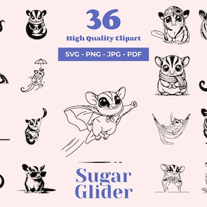 Pacote Sugar Glider SVG - 36 designs - Designs de sublimação - Adesivo Sugar Glider - Cricut SVG - Arquivos a laser - Gravação em madeira SVG