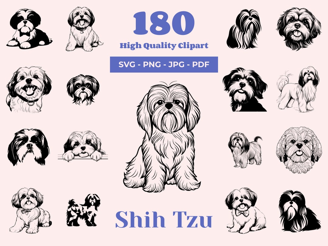 HOT Shi Tzu Perro Shih Tzu Pelo Corto Shih Tzu Corte De Pelo