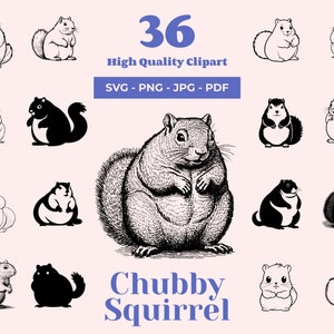 Bundle SVG gros écureuil - 36 modèles - Clipart Animal des bois - Silhouette écureuil - parfait pour la Cricut, la découpe Laser et la décoration boisée