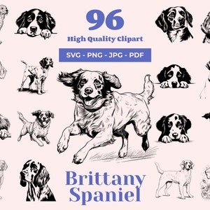 Paquete SVG de Spaniel Brittany: 96 diseños, imágenes prediseñadas de Spaniel Brittany, arte de perros de caza, archivos de sublimación, imágenes prediseñadas de Spaniel enérgico, archivos láser