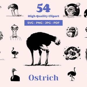 Könnte beinhalten: Ein Set mit 54 Schwarzweiß-Vektorillustrationen von Straußen in verschiedenen Posen und Umgebungen. Die Illustrationen zeigen Strauße mit Sonnenbrillen, Hüten und Brillen sowie Strauße im Weltraum, im Wald und auf einem Feld. Der Text "Strauß" ist unten im Bild in Blau geschrieben.