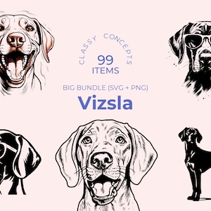 Vizsla SVG Bundle - 99 Schnittdateien - Elegante Hunde Illustrationen - Vizsla Silhouetten - Temperamentvolle Hunde Designs